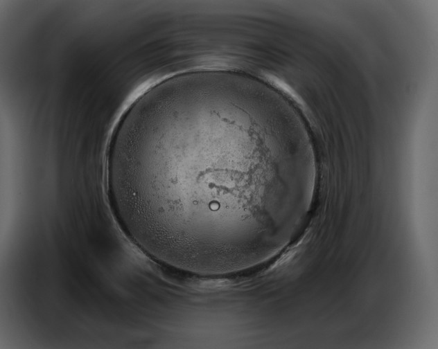 X0000087741467200705071043