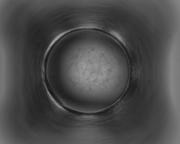 X0000087741468200705071043