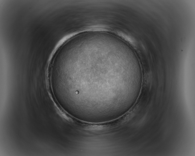 X0000087741470200705071043