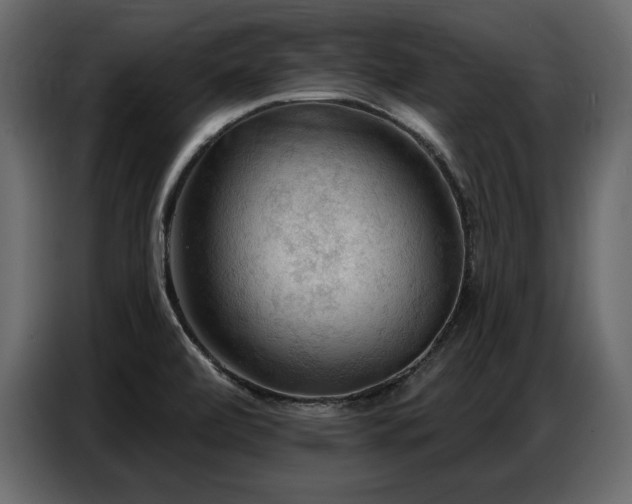 X0000087741472200705071043