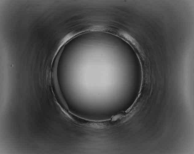 X0000087741473200705071043