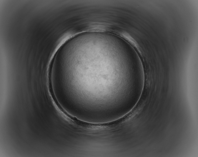 X0000087741475200705071042