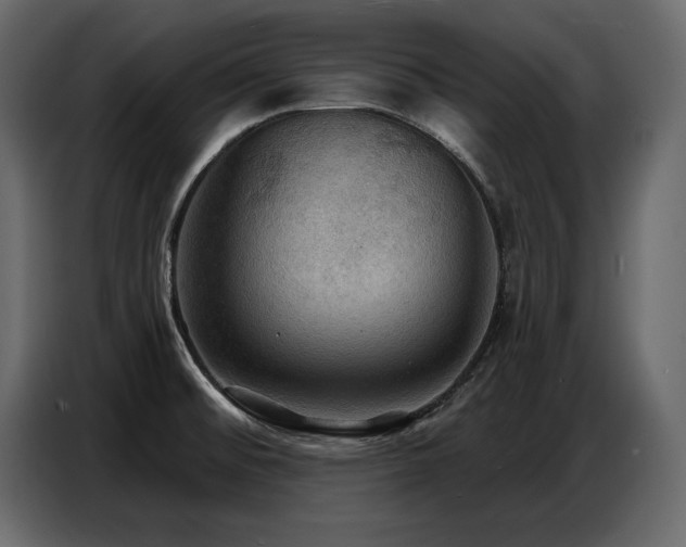 X0000087741476200705071042