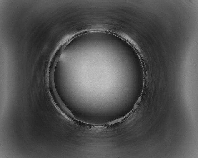 X0000087741477200705071042
