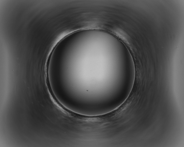 X0000087741479200705071042