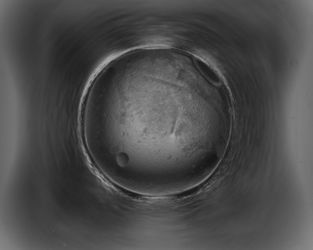 X0000087741488200705071042