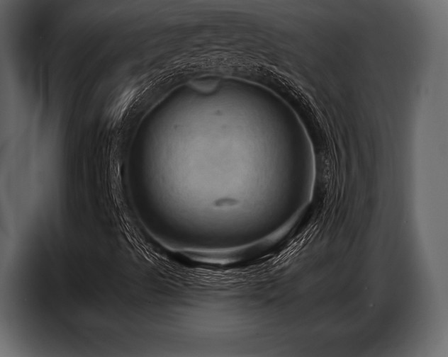 X0000087741489200705071042
