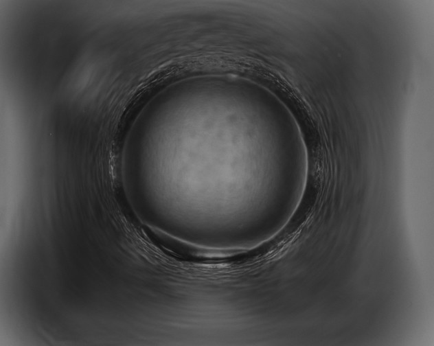 X0000087741490200705071042