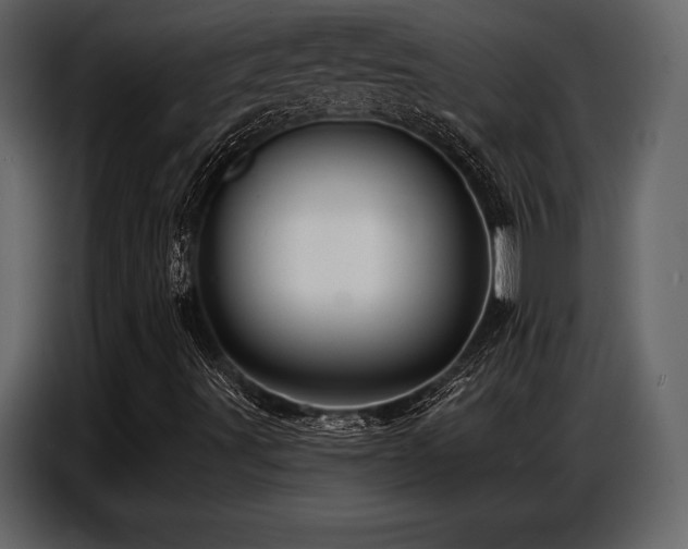 X0000087741491200705071042