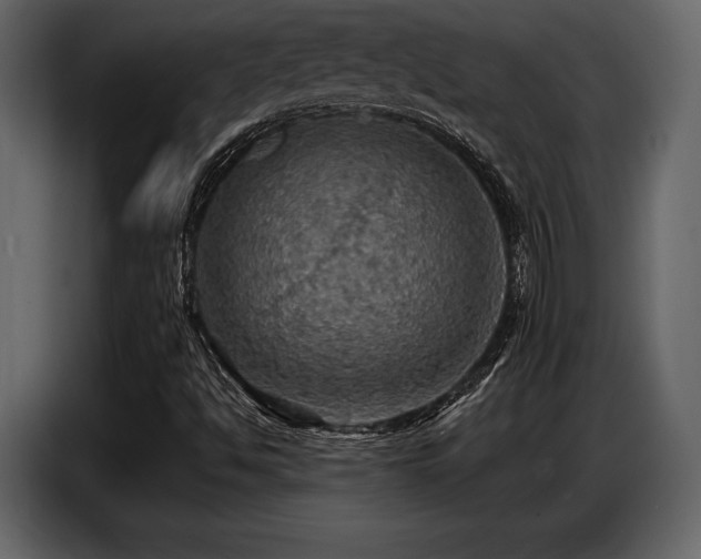 X0000087741494200705071042