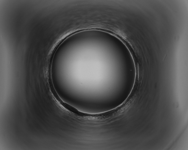X0000087741500200705071042