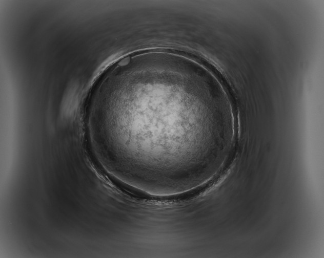 X0000087741501200705071042