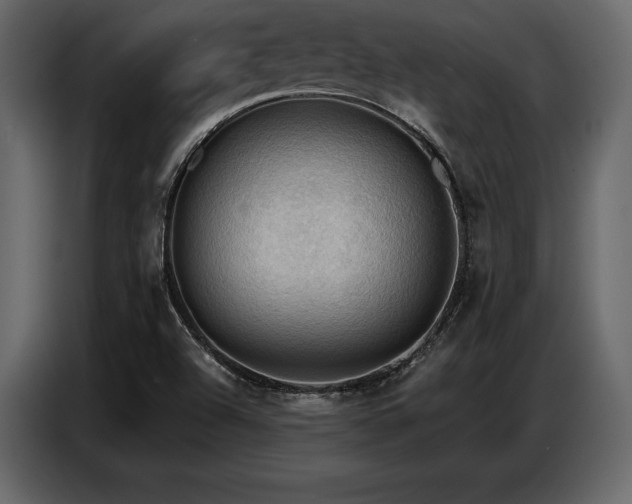 X0000087741504200705071042