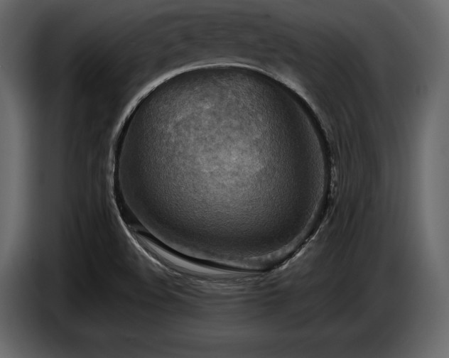 X0000087741508200705071042