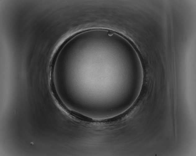 X0000087741511200705071042
