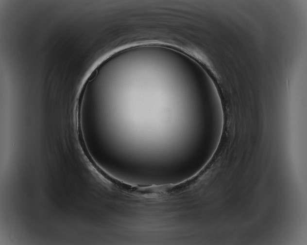 X0000087741516200705071042