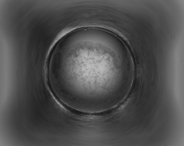 X0000087741517200705071042