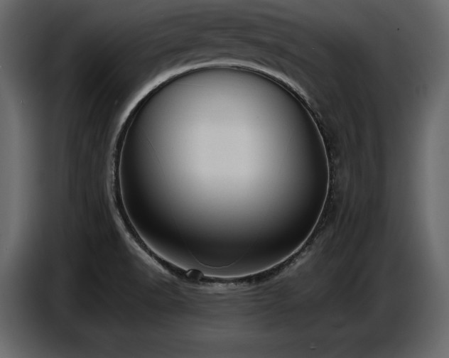 X0000087741518200705071042