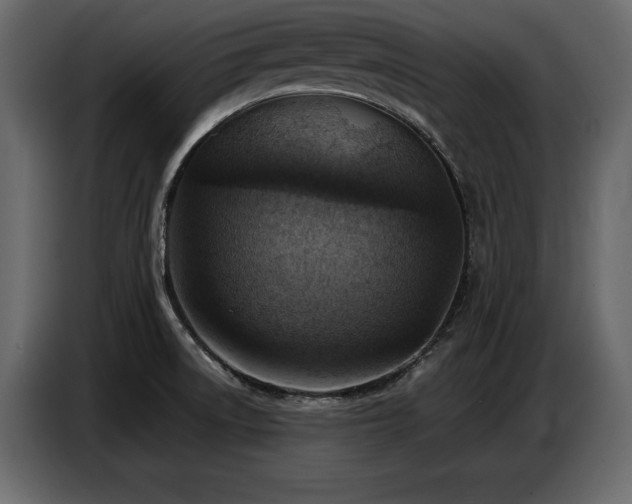 X0000087741522200705071042