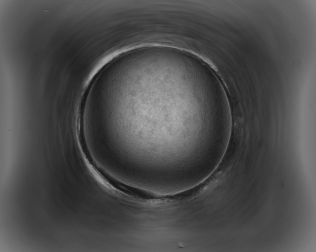 X0000087741523200705071042