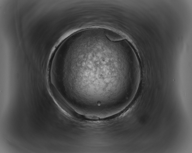 X0000087741525200705071042