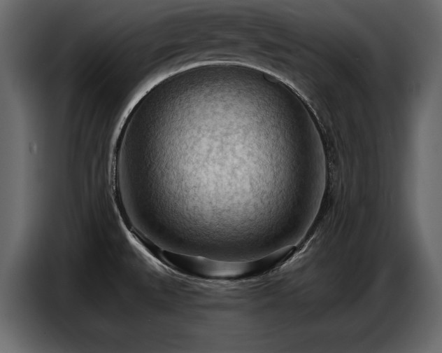 X0000087741527200705071042