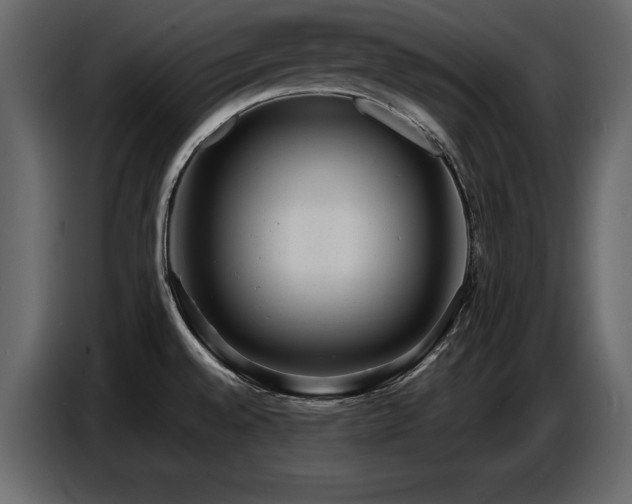 X0000087741528200705071042