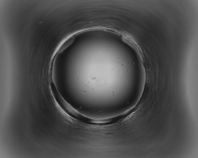 X0000087741532200705071042