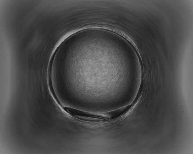 X0000087741533200705071042