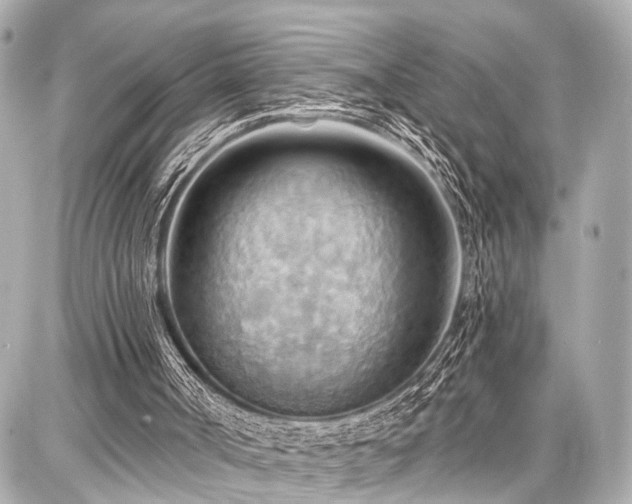 X0000087740002200705141236