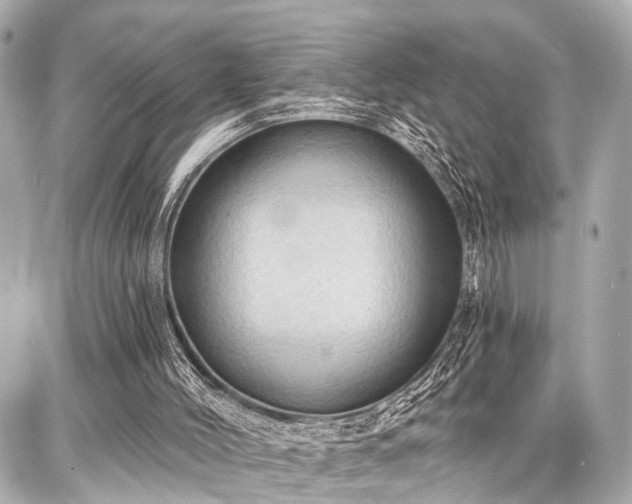 X0000087740004200705141236