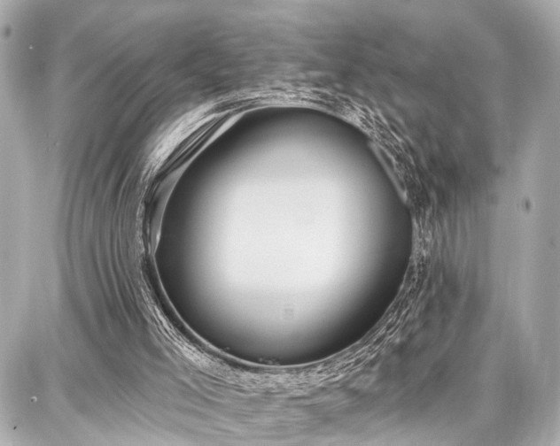 X0000087740005200705141236