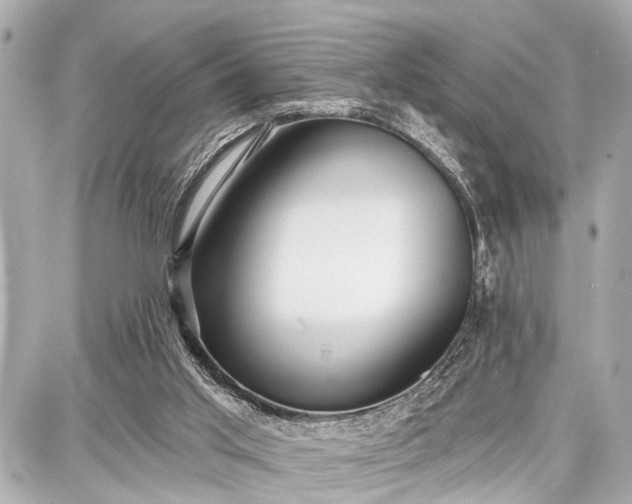 X0000087740013200705141236