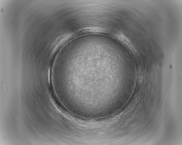 X0000087740014200705141236