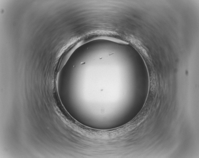 X0000087740015200705141236