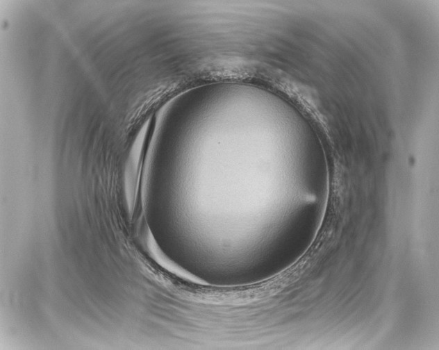 X0000087740017200705141236