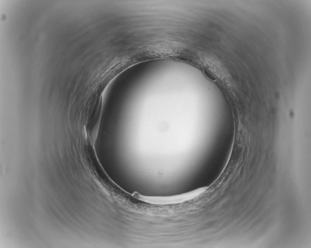 X0000087740021200705141236