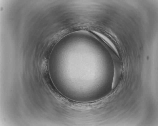 X0000087740029200705141236