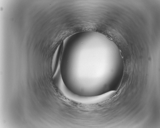 X0000087740041200705141236