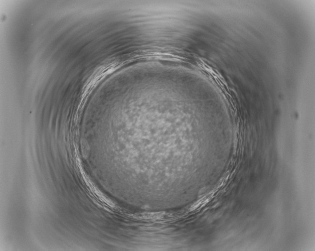 X0000087740049200705141235