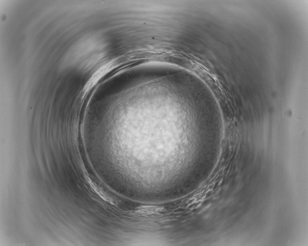 X0000087740051200705141235