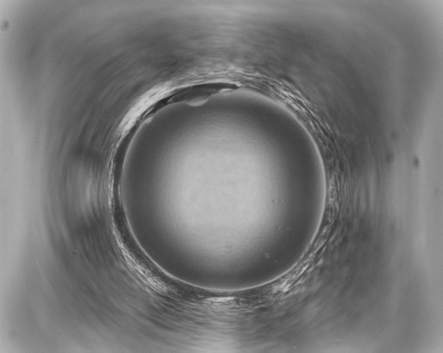 X0000087740054200705141235