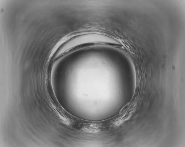 X0000087740056200705141235