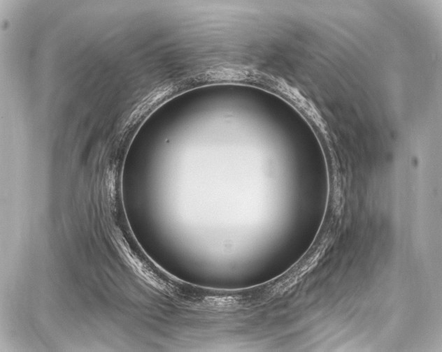 X0000087740057200705141235