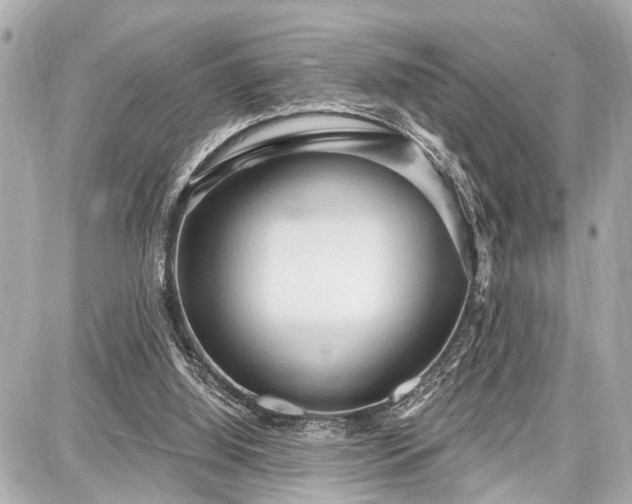 X0000087740060200705141235