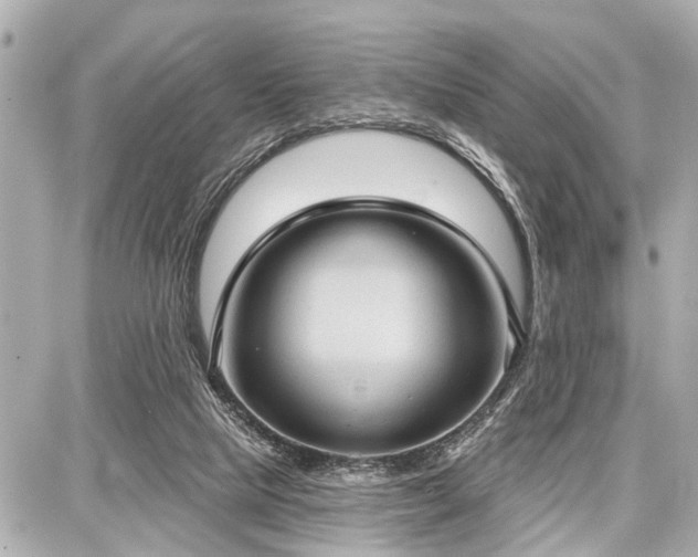 X0000087740065200705141235