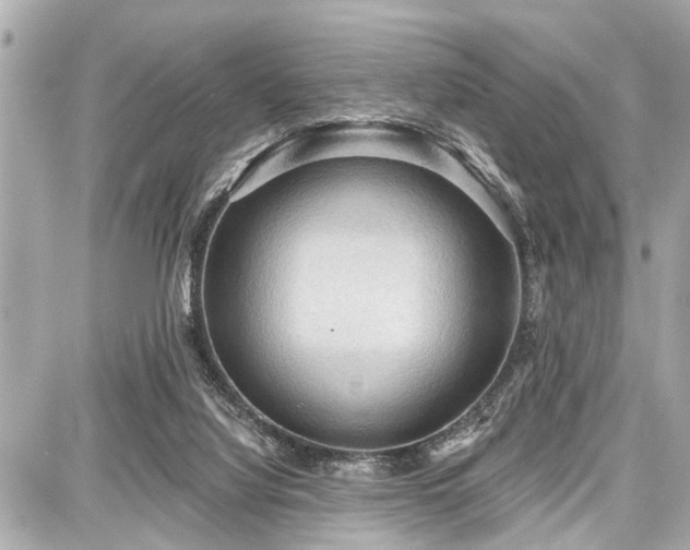 X0000087740068200705141235