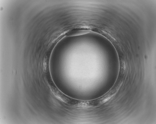 X0000087740080200705141235