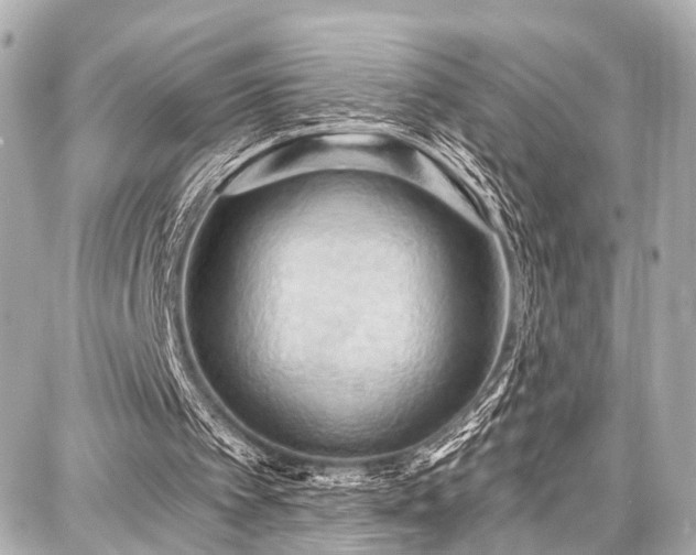 X0000087740097200705141235