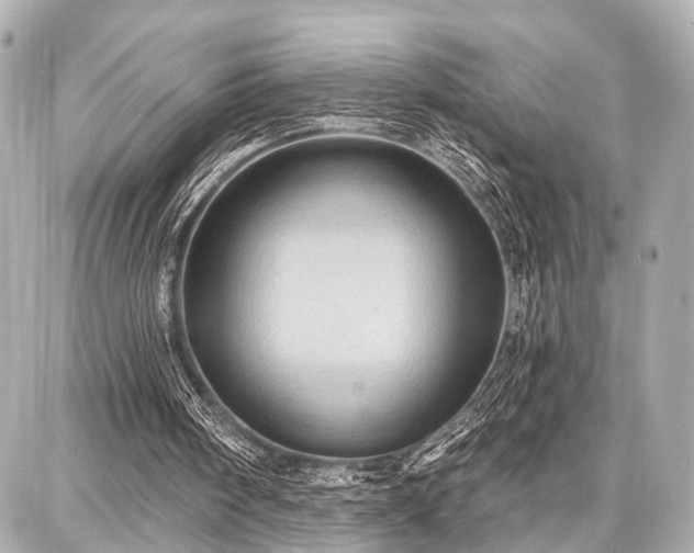 X0000087740098200705141235